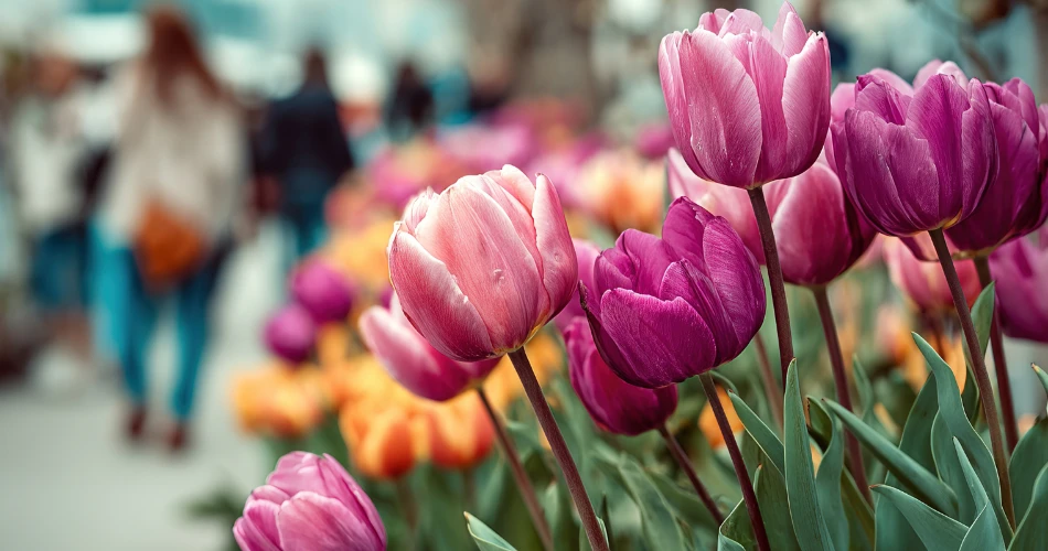 Seasonal Events in Santa Barbara: What’s Happening This Year