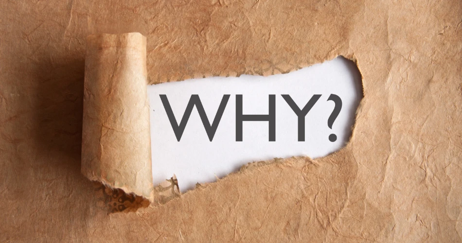 Seasonal Events in Santa Barbara: What’s Happening This Year